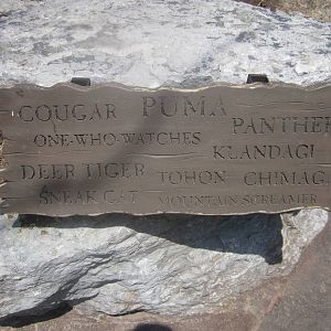 Jul. 2012-Cougar Names sign