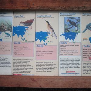 Jul. 2012-Australasian Bird Signs (1)