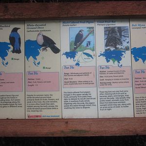 Jul. 2012-Australasian Bird Signs (2)