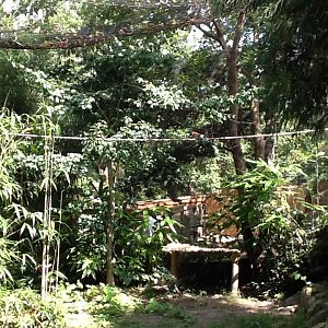 Roger Williams Zoo - Aviary