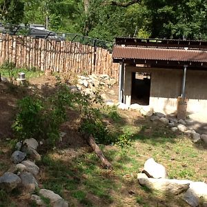 Roger Williams Zoo - Takins