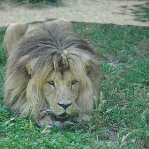 Parco Faunistico Valcorba - Padova