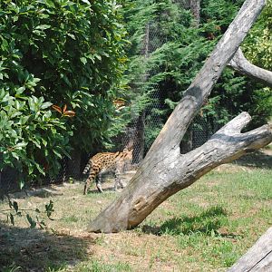 Parco Faunistico Valcorba - Padova