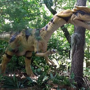 Franklin Park Zoo - Dilophosaurus