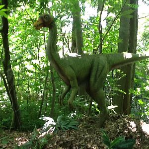 Franklin Park Zoo - Ornithomimus