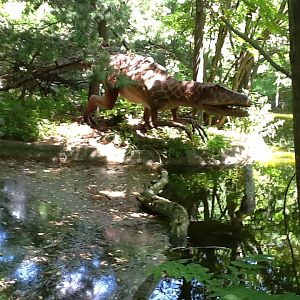Franklin Park Zoo - Deltadromeus