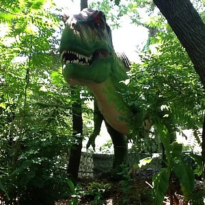 Franklin Park Zoo - Tyrannosaurus