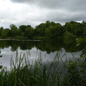 Lake in African Plains area, June 2012