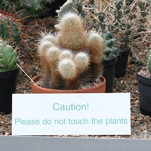 Sign in the cactus grow zone