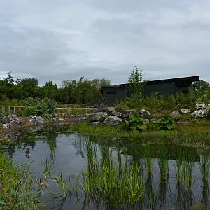 Approaching the Gorilla house, June 2012