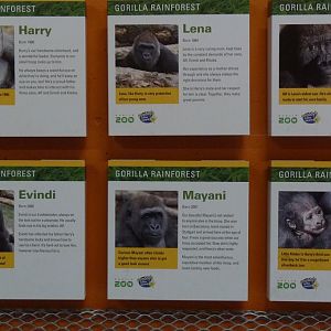 Sign in the Gorilla House