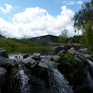 View of the gorilla house and island