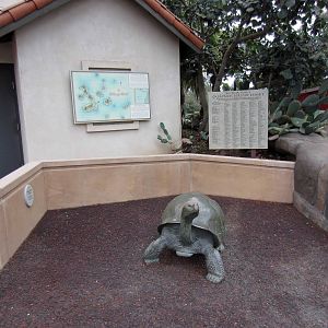 Reptile Walk - Opened July 4th