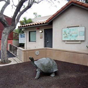 Reptile Walk - Opened July 4th