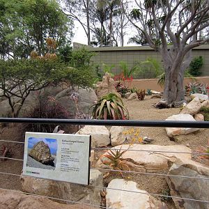Reptile Walk - Opened July 4th