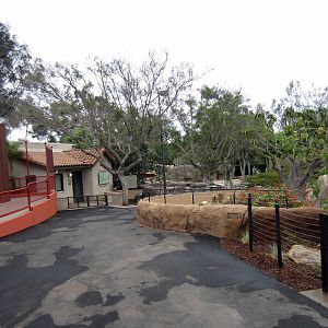 Reptile Walk - Opened July 4th