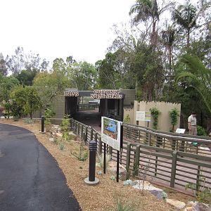 Reptile Walk - Opened July 4th