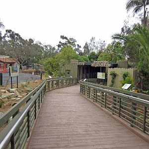 Reptile Walk - Opened July 4th