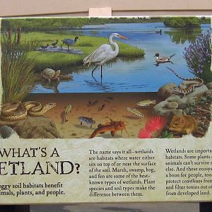 Reptile Walk - Opened July 4th