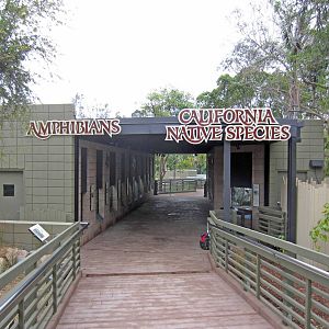 Reptile Walk - Opened July 4th