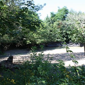 Fabric of Africa- Wildebeest/Zebra Exhibit