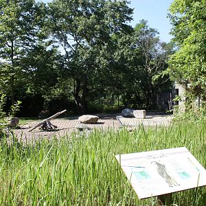Fabric of Africa- Aoudad Exhibit