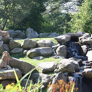 Fabric of Africa- Aoudads Resting