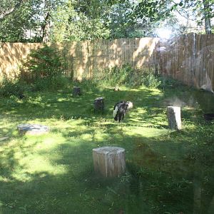 Fabric of Africa- West African Crowned Crane Exhibit