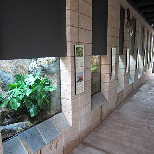 New Reptile Walk - Opened July 4th