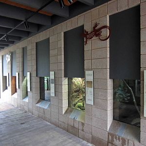 New Reptile Walk - Opened July 4th