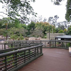 New Reptile Walk - Opened July 4th