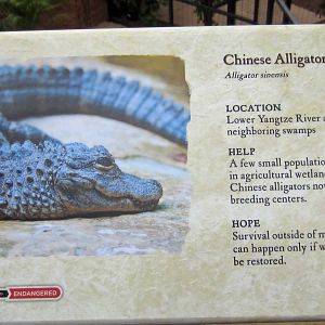 New Reptile Walk - Opened July 4th