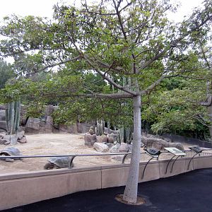 New Reptile Walk - Opened July 4th