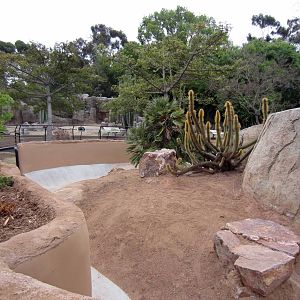 New Reptile Walk - Opened July 4th