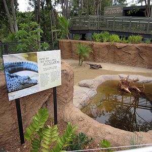 New Reptile Walk - Opened July 4th