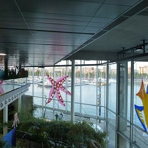 L'Aquàrium Barcelona 24.5.12