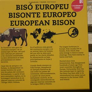 European Bison Sign 23.5.12