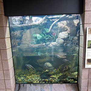 Reptile Walk - Opened July 4th