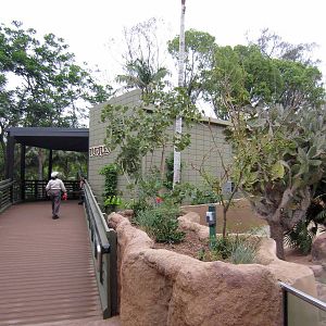 Reptile Walk - Opened July 4th