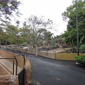 Reptile Walk - Opened July 4th