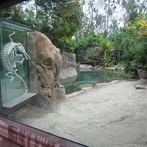 Reptile Walk - Opened July 4th
