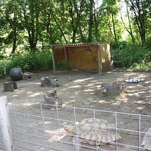 Fabric of Africa- African Spurred Thigh-Tortoise Exhibit
