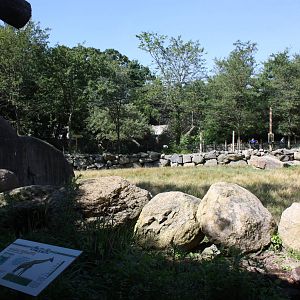 Fabric of Africa- Masai Giraffe Exhibit
