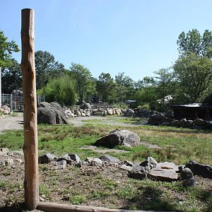 Fabric of Africa- Masai Giraffe Exhibit