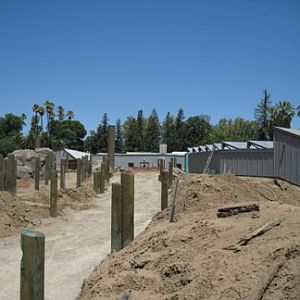 sneak peek - Sea Lion Cove