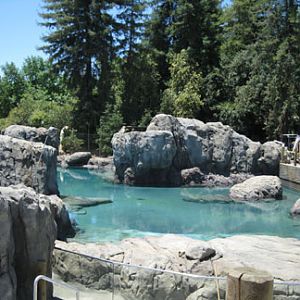 sneak peek - Sea Lion Cove