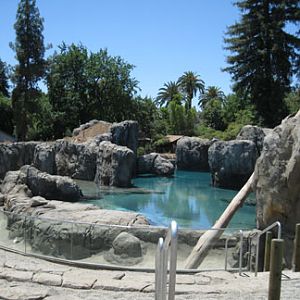 sneak peek - Sea Lion Cove