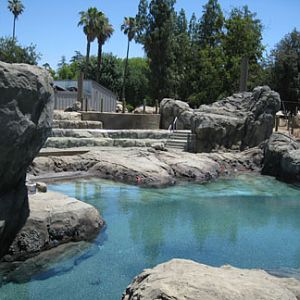 sneak peek - Sea Lion Cove