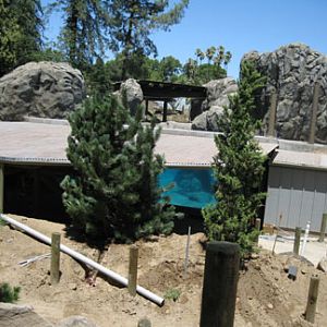 sneak peek - Sea Lion Cove