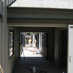 sneak peek - Sea Lion Cove